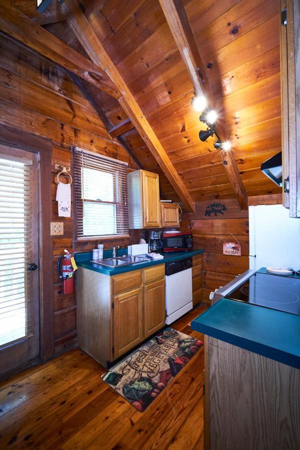 Gatlinburg Area Hottub Cabin - Ladyslipper Sevierville Exterior foto