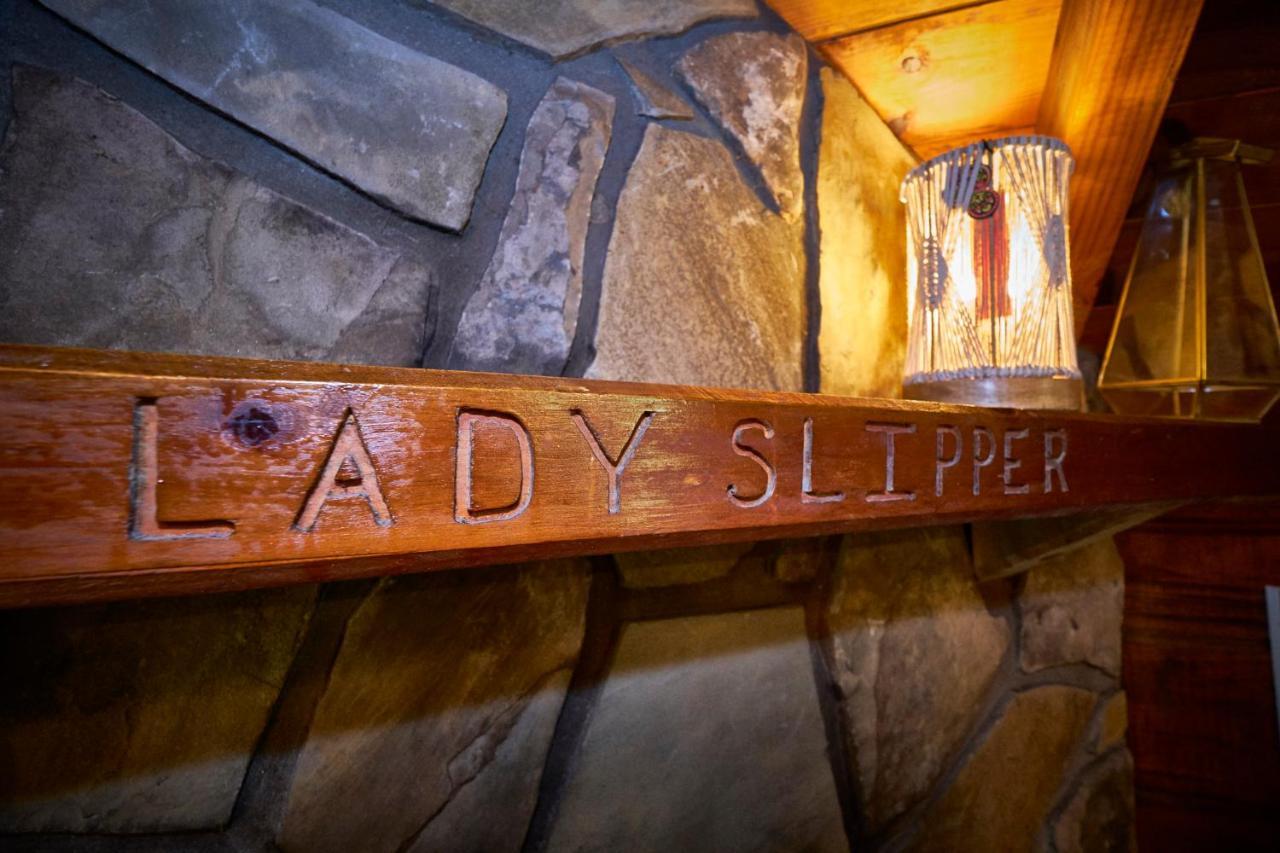 Gatlinburg Area Hottub Cabin - Ladyslipper Sevierville Exterior foto
